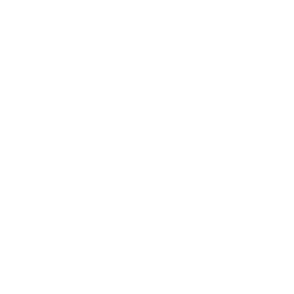 Logo weiß