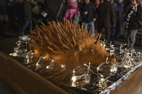 08.11.2025 wir festival